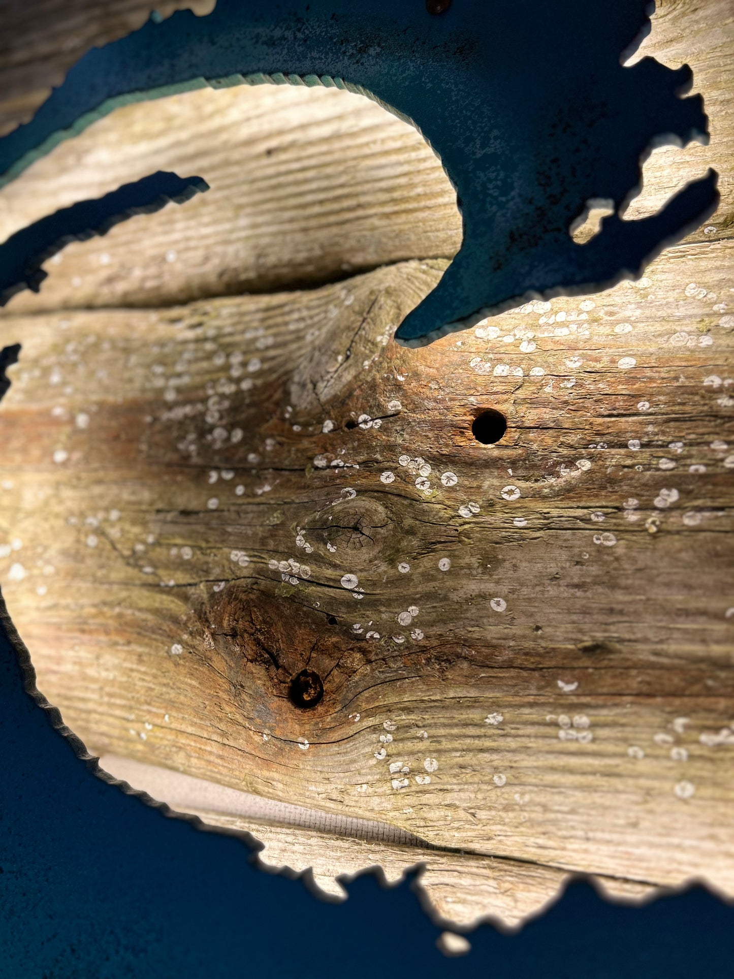 Driftwood-Welle Lampe